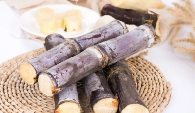 酚特琳®甘蔗多酚