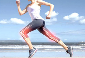 软骨提取物 （鸡II型胶原蛋白）