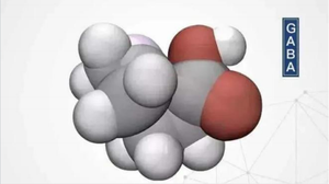 γ-氨基丁酸