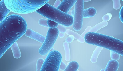 LactoSpore®凝结芽孢杆菌