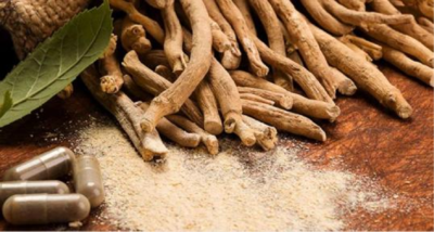 Shagandha ™南非醉茄提取物